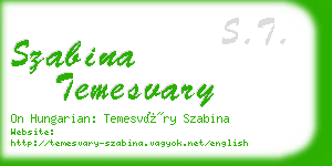 szabina temesvary business card